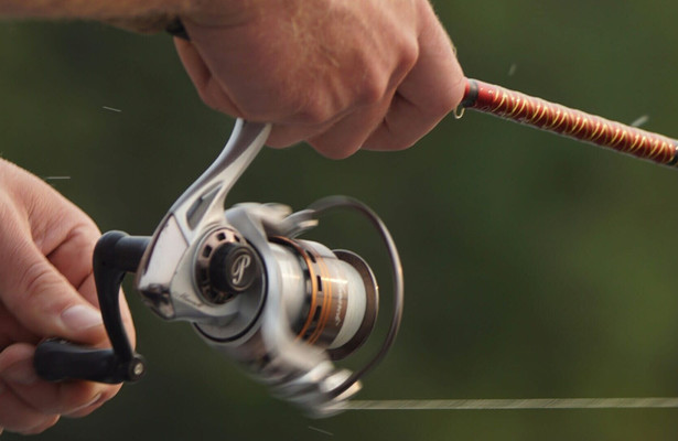 Vissen: Fish-o-mania