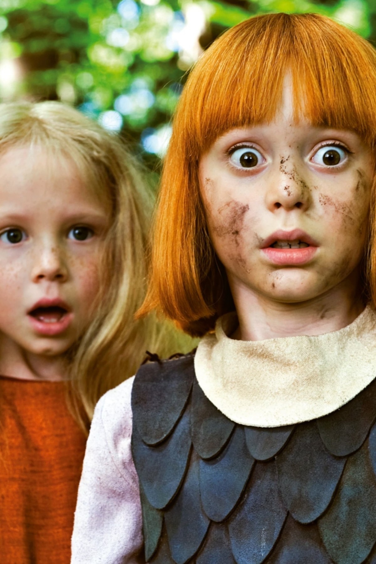 Wickie en de sterke mannen