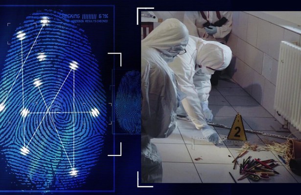 Wahre Verbrechen: Suche nach Gerechtigkeit