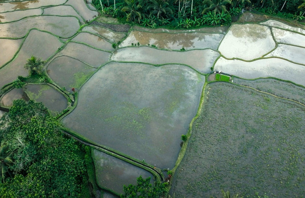 Wasserpioniere