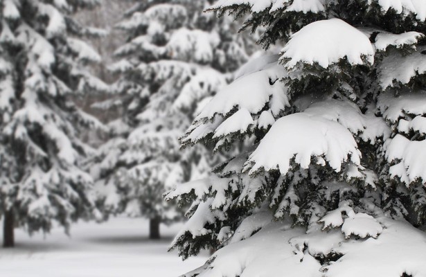 Weiße Weihnachten mit Wincent Weiss