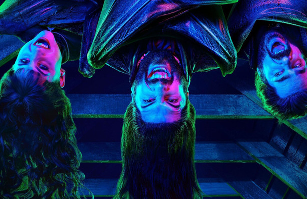 Signed: What we do in the shadows