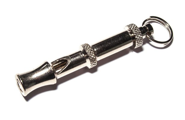 Whistle and I'll Come to You