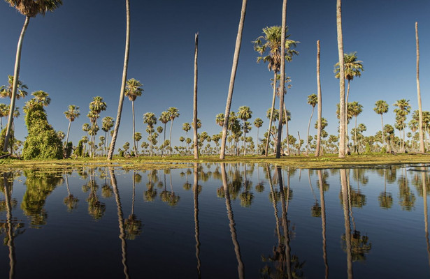 Wild Argentina: Extreme Earth