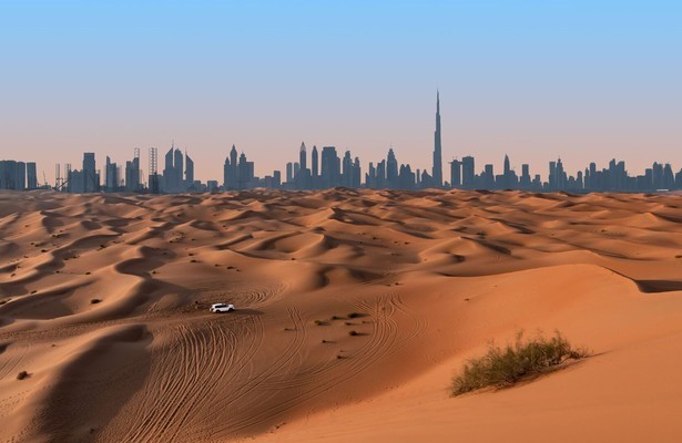 Wild Dubai