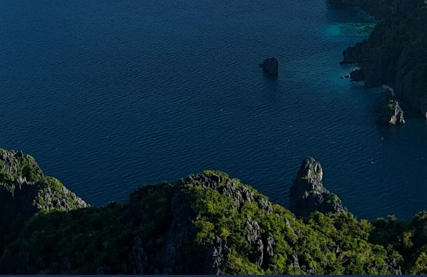 Wild Philippines