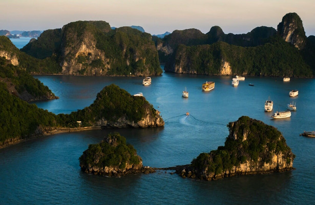Wild Vietnam