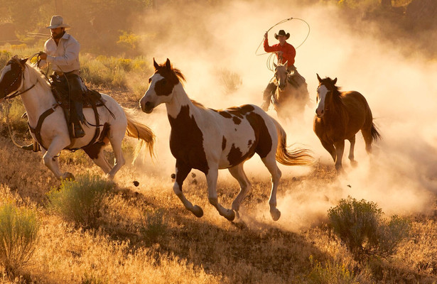Wild West - America's Great Frontier