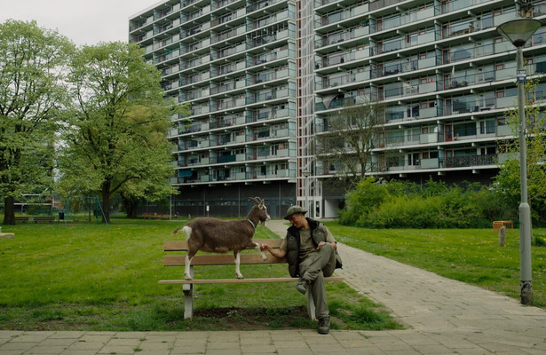 Wilde buren alleen maar love