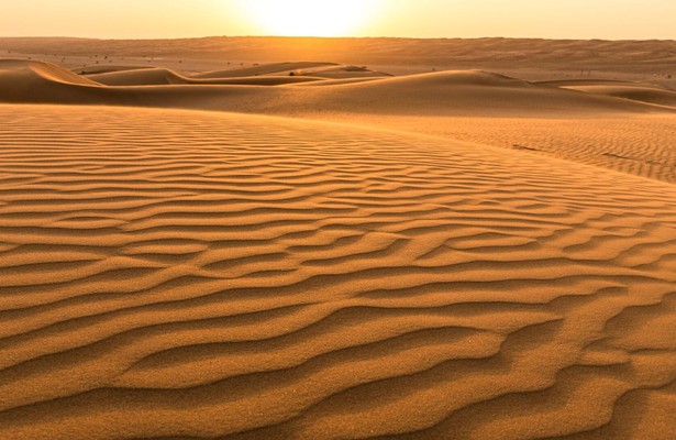 Wildest Middle East