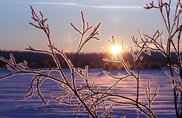 Winter's Hidden Wonders