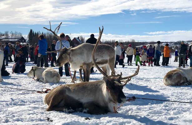 Wintersonne in Nordnorwegen