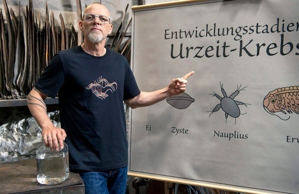 Wissen vor acht - Natur