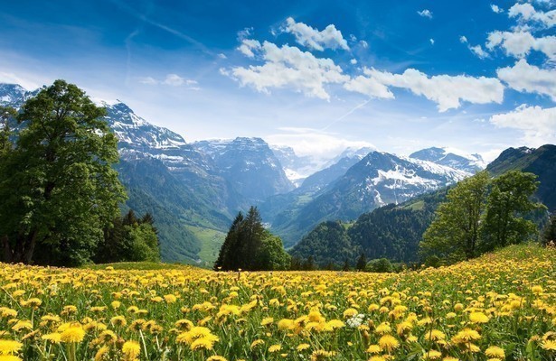Wunderwelt Schweiz