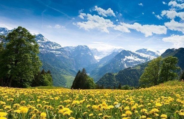Wunderwelt Schweiz