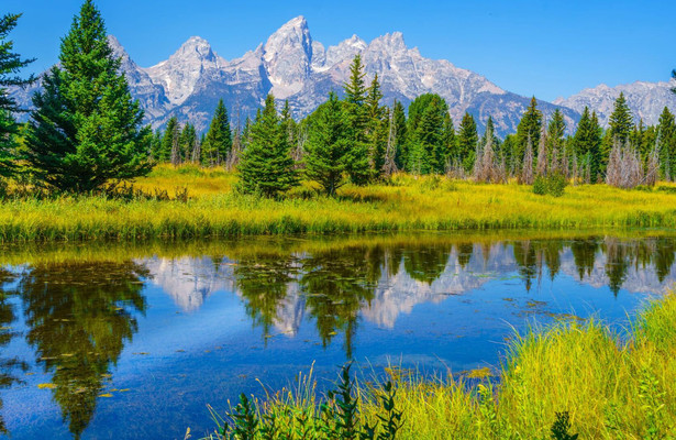 Yellowstone: Wildest winter to blazing summer