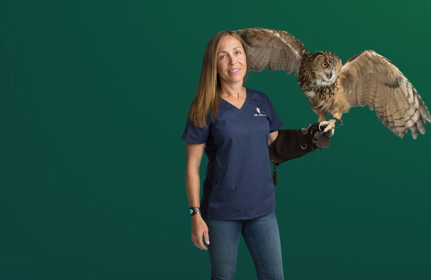 Yukon Vet: Northern Lites