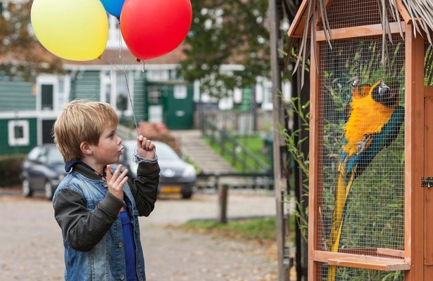 Zappbios: Dikkertje Dap