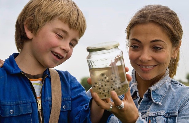 Zappbios: Kikkerdril