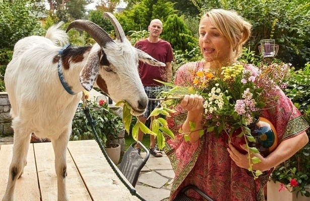 Zappbios: Klimaatredden voor beginners