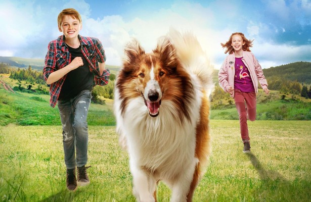 Zappbios: Lassie