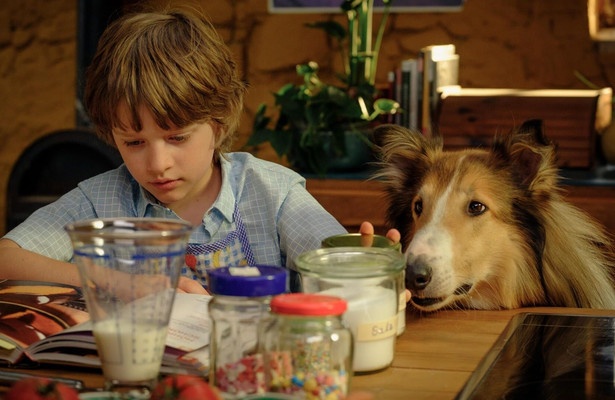 Zappbios: Lassie - Een nieuw avontuur