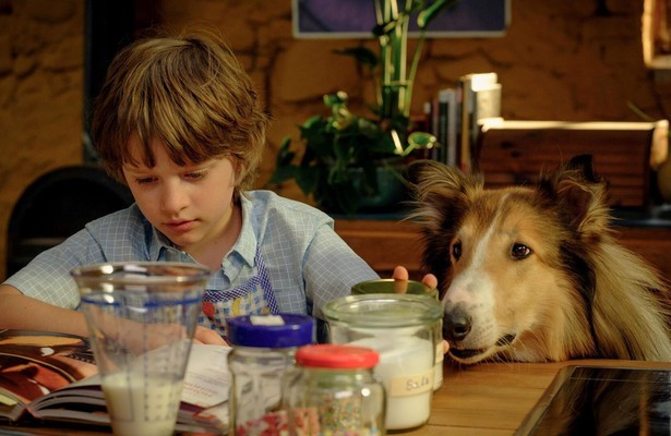 Zappbios: Lassie - Een nieuw avontuur