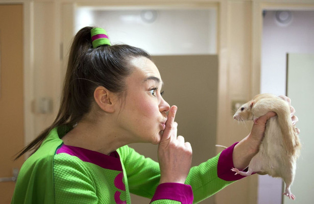 Zappbios: Superjuffie