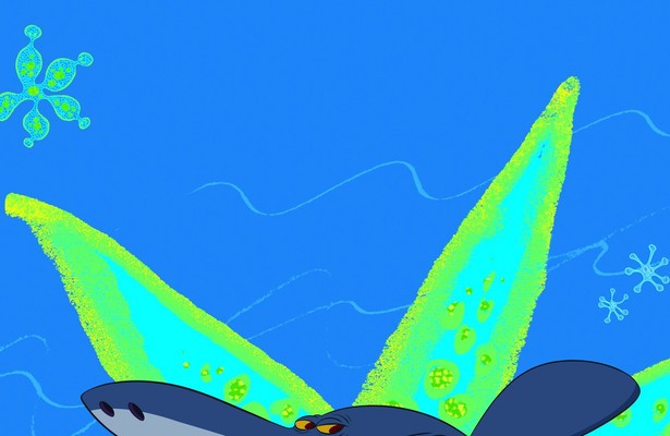Zig & Sharko