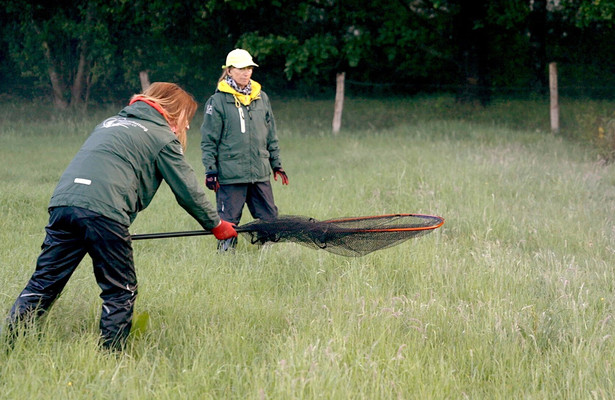 Zwischen Rehkitzrettung und Tierklinik