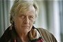 Filmlegende Rutger Hauer overleden