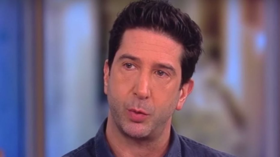 David Schwimmer houdt doorstart Friends tegen - TVgids.nl