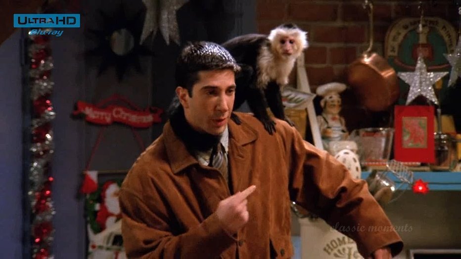 Aap Marcel uit Friends heeft weer tvrol te pakken TVgids.nl