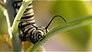 Tiny creatures: nu te zien bij Netflix