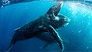 Videosnack: Schitterende trailer van Our Planet