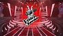 Dit zijn de 4 coaches van The voice senior