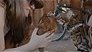 Voer voor kattenliefhebbers op Netflix: Cat People