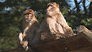 De TV van gisteren: De dierentuin doet het weer