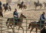 Matthias Schoenaerts temt een paard in The Mustang