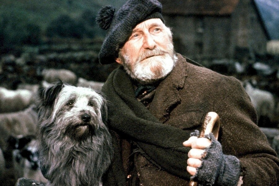 Greyfriars Bobby Film Drama 1961 Kijken Tvgidsnl