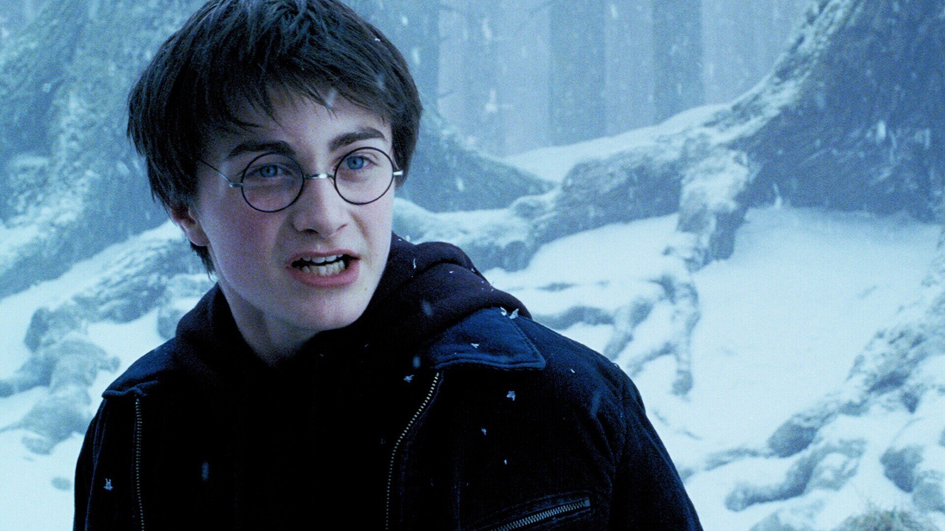 Nieuwe avonturen voor Harry, Hermelien en Ron in Harry Potter and the