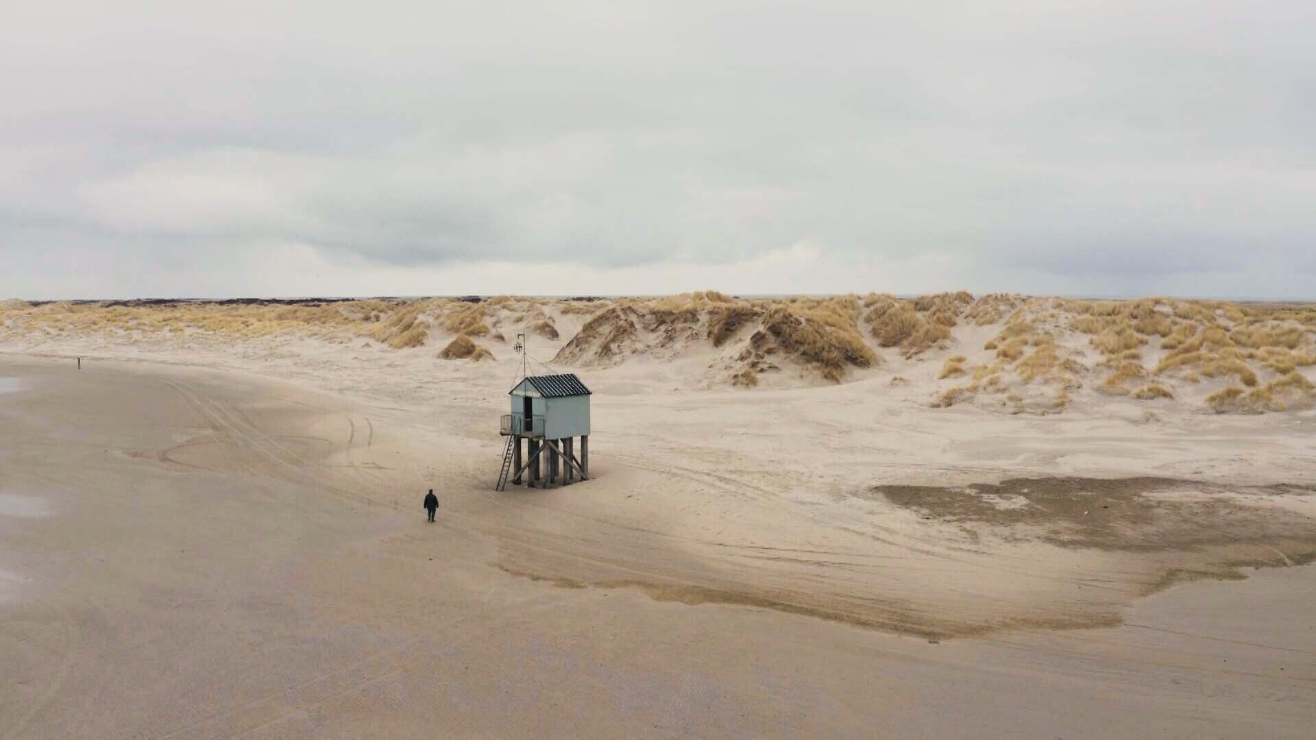 Lies Visschedijk in de vogelhut TVgids.nl