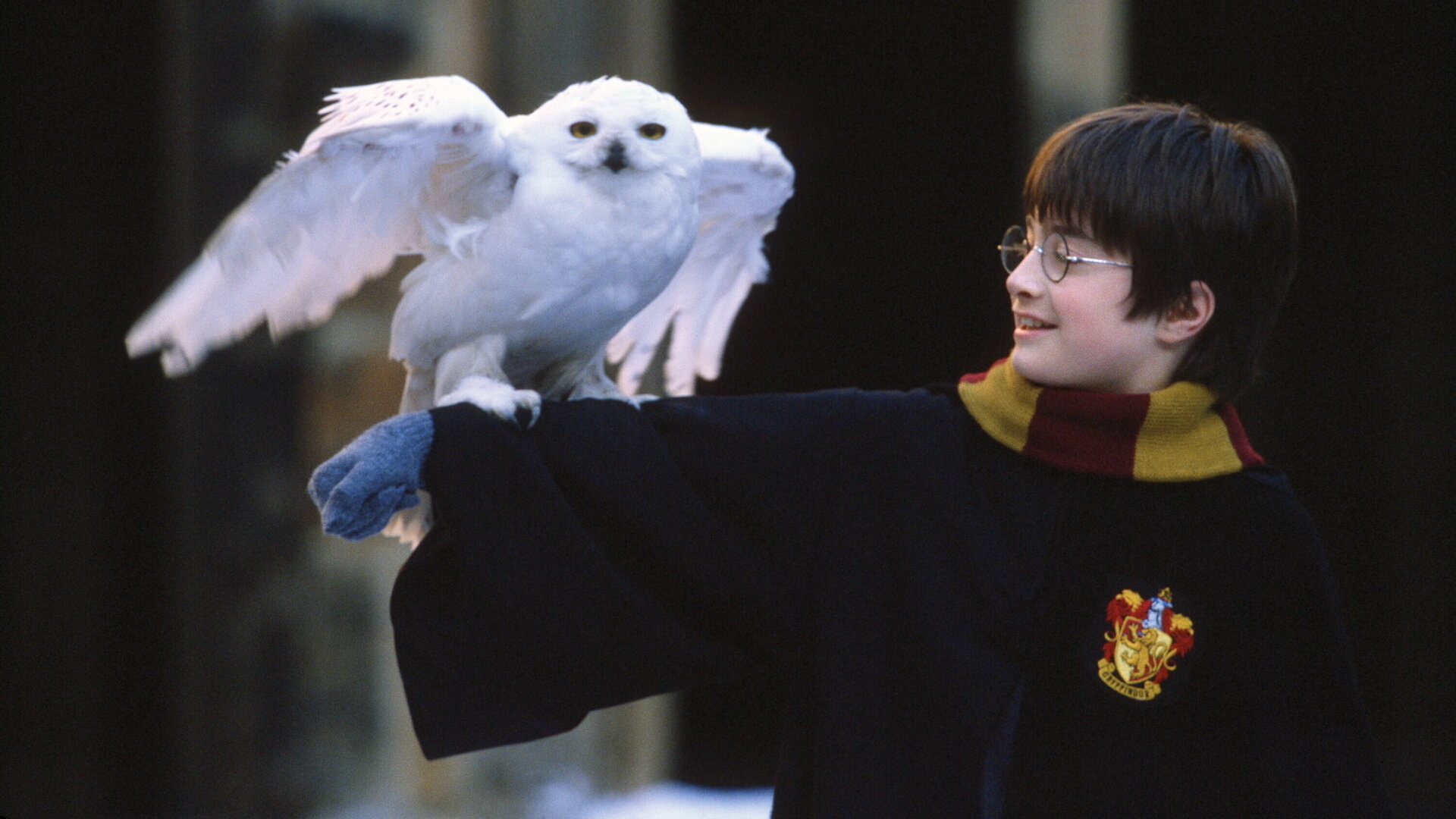 Tovenaarsleerling ontdekt zijn krachten in Harry Potter and the