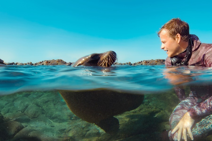 Animals Up Close With Bertie Gregory (Informatief, Dieren) Kijken ...