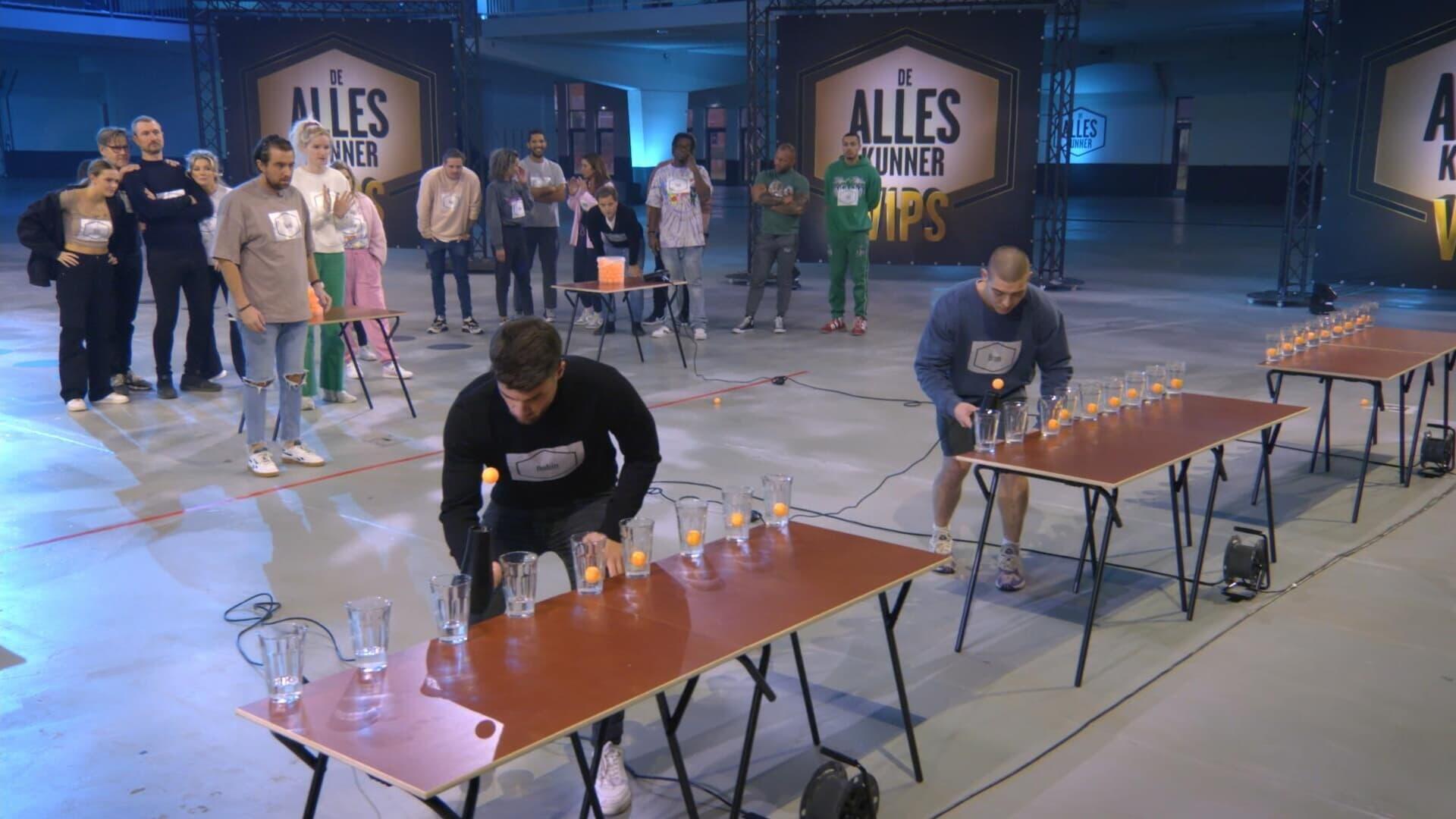 De overige kandidaten spelen verstoppertje in De Alleskunner VIPS