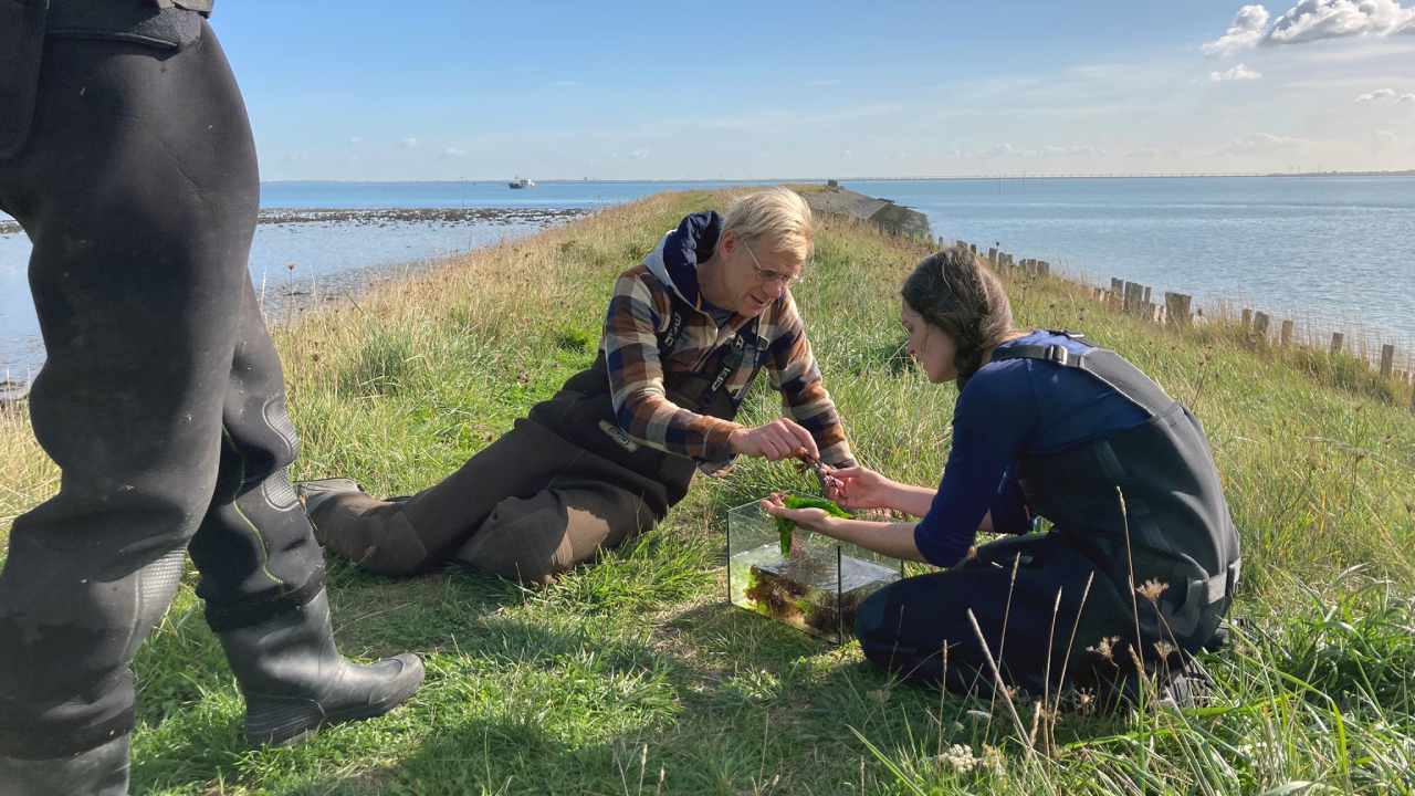 Menno Bentveld is terug met Vroege Vogels: 'Ik vind het nog altijd een voorrecht'
