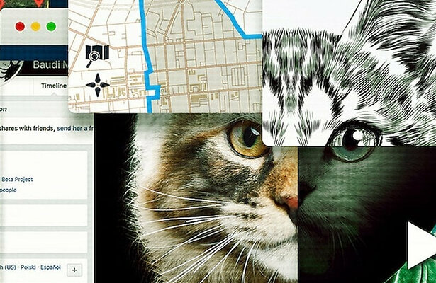 Don't F**k with Cats: Hunting an Internet Killer