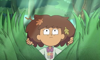 Amphibia