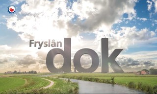 Fryslân dok