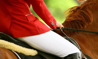 Paardensport: Wereldbeker springen Bordeaux